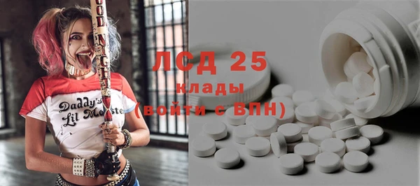 молекула духа Богородск