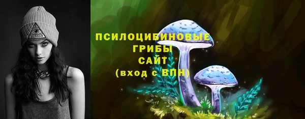 mdma Богородицк
